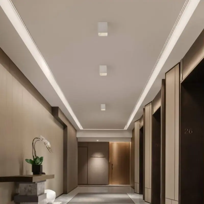 Modern Square Surface Mounted LED Downlight  Aluminum Flush Mount Ceiling Light For Living Room