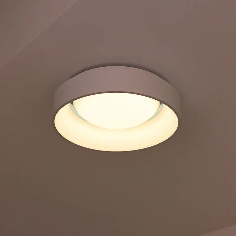 Nordic Minimalist Iron Acrylic Concave-Convex Circle LED Flush Mount Ceiling Light