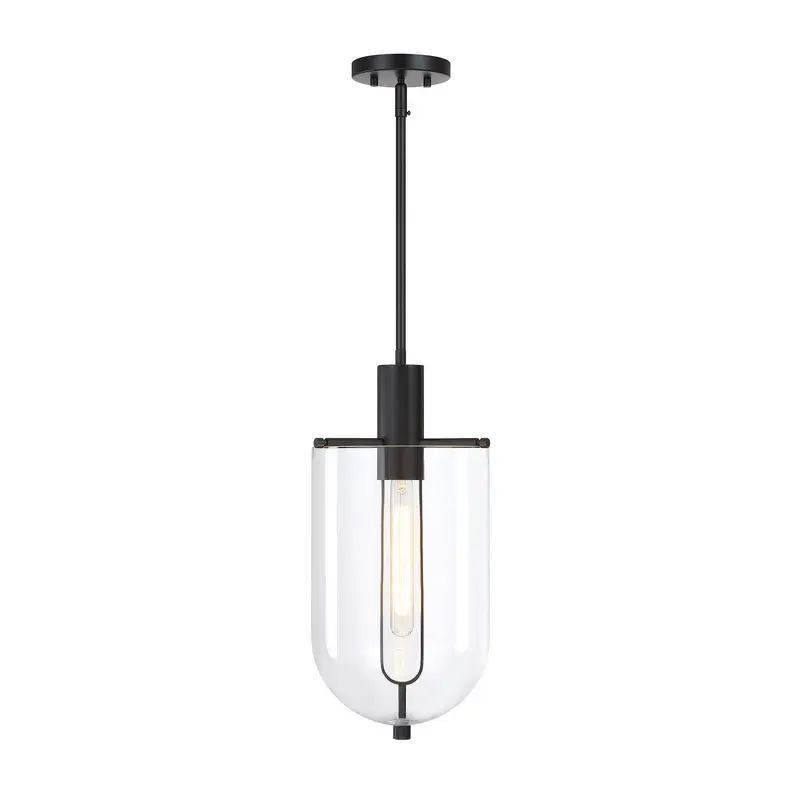 Skylar One Light Pendant Matte Black