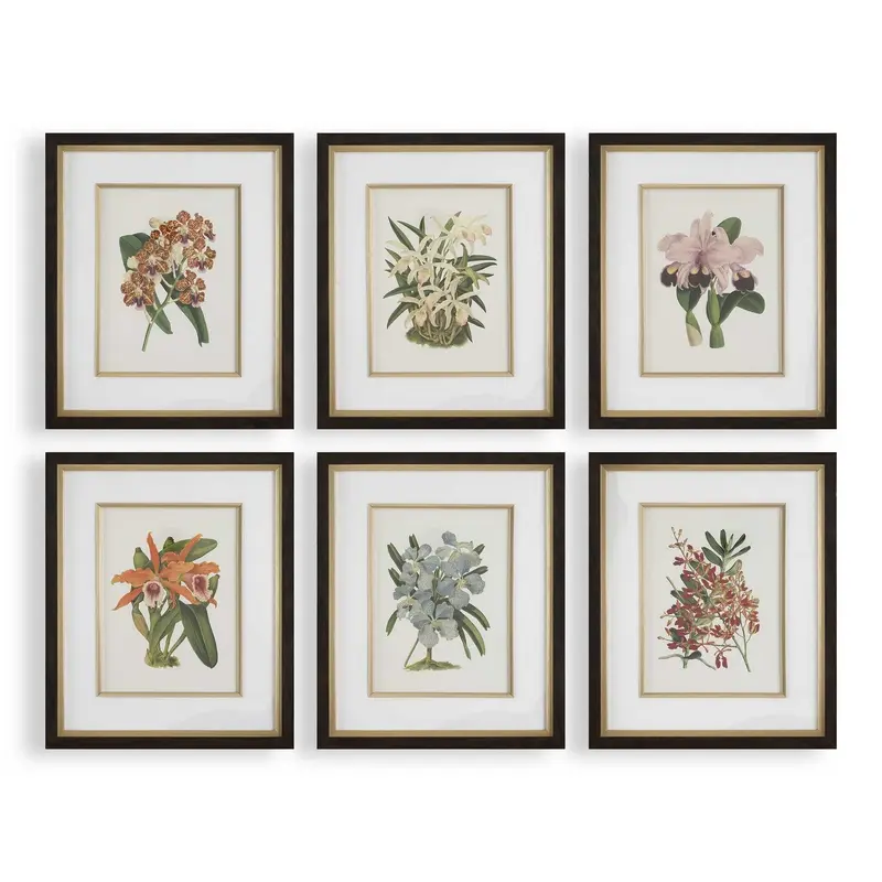 Orchid Framed Prints Set/6
