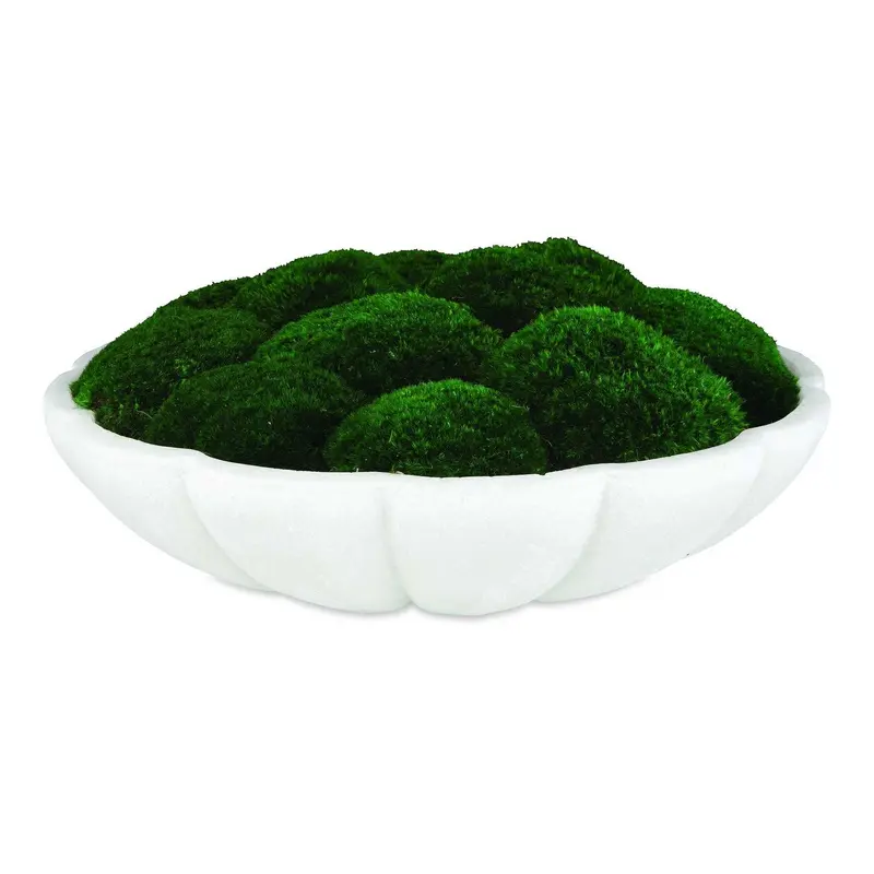 Awaken Moss Centerpiece Ivory