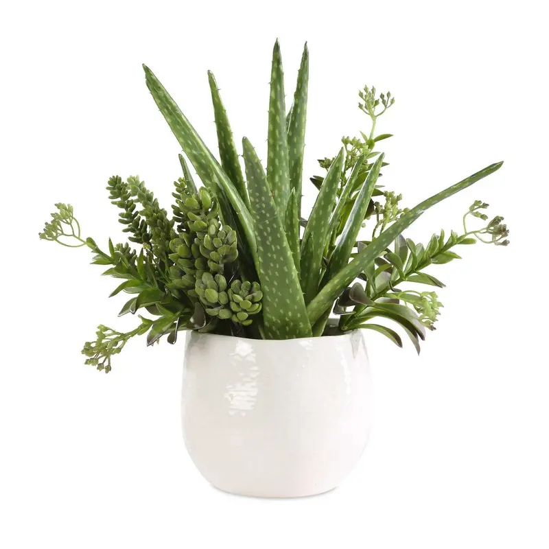 Sundown Succulent Planter Gloss White