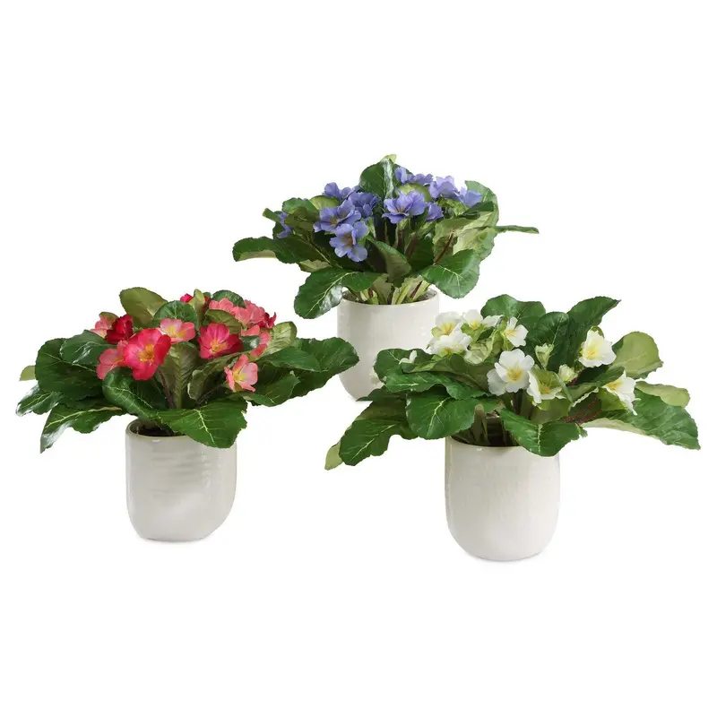 Trilogy Primrose Accents In Vases Set/3 White