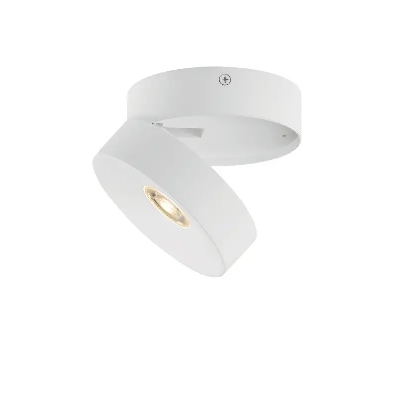 Swinger LED Flush Mount White