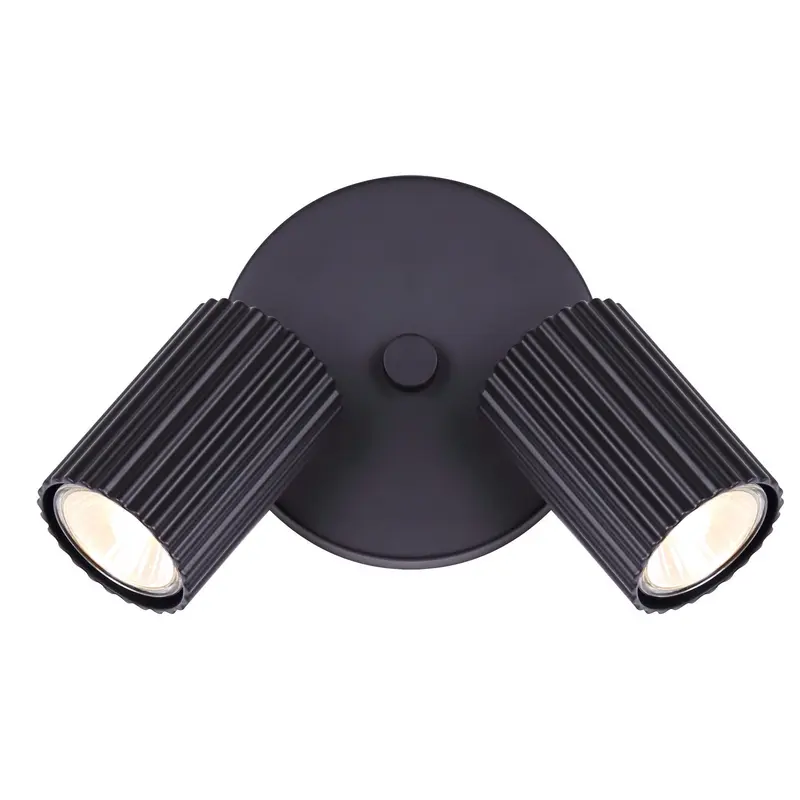 Rexton Two Light Track Lighting Black