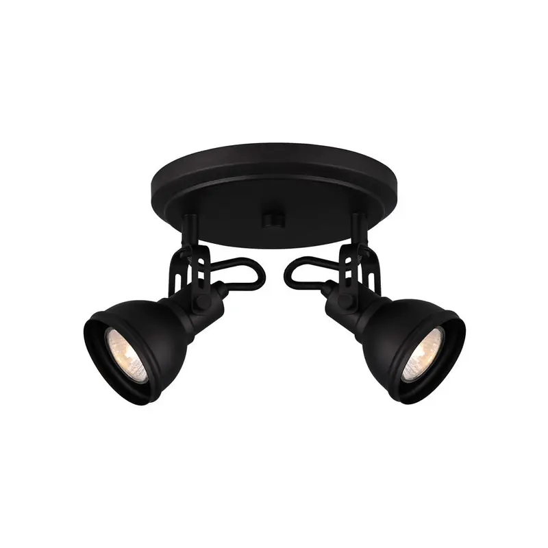Polo Two Light Ceiling/Wall Mount Black