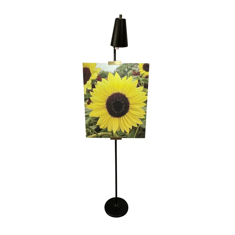 River North LED Floor Lamp Black/Antique Brass