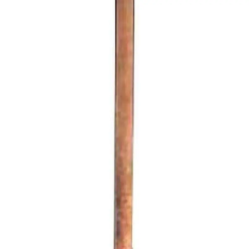 Stem Accessory Stem Hematite