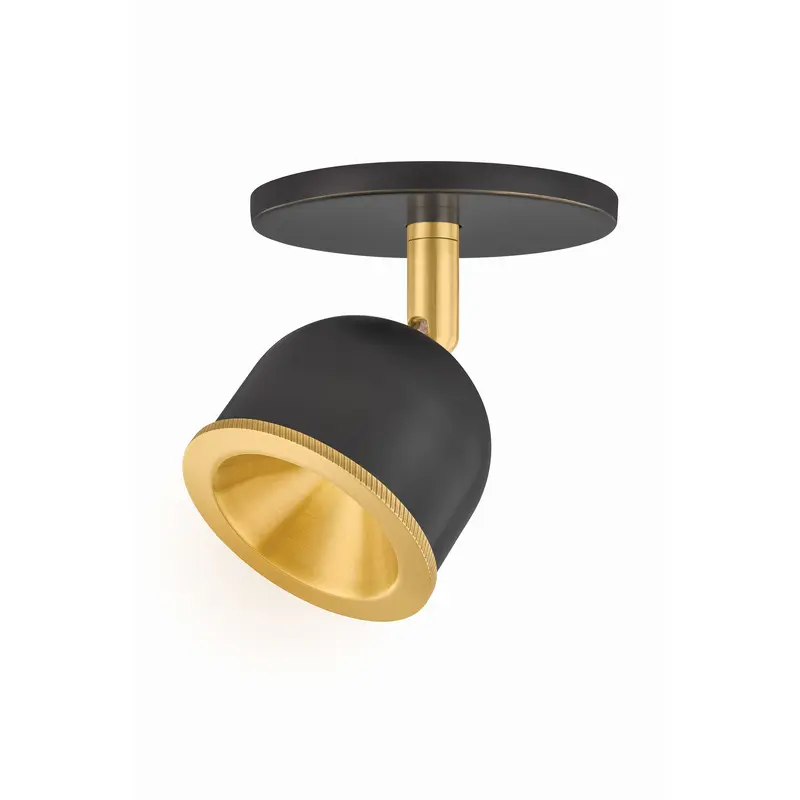 Tuthill LED Flush Mount Aged Brass