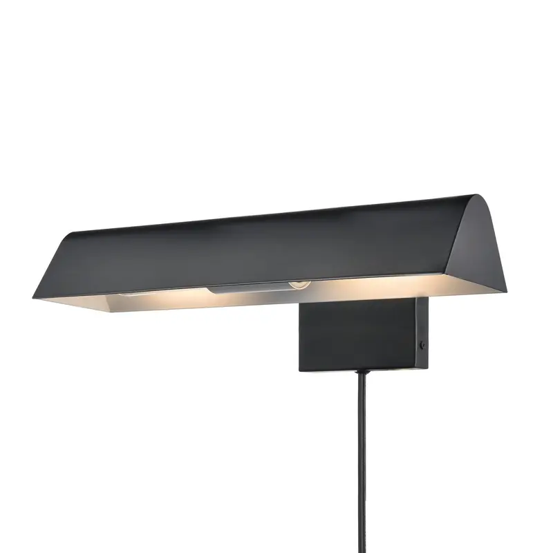 Carlyle Two Light Picture Light Ebony