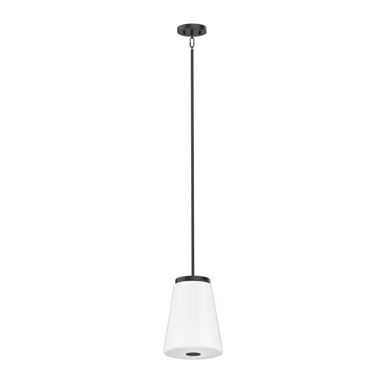 Robson Hall One Light Pendant Satin Nickel