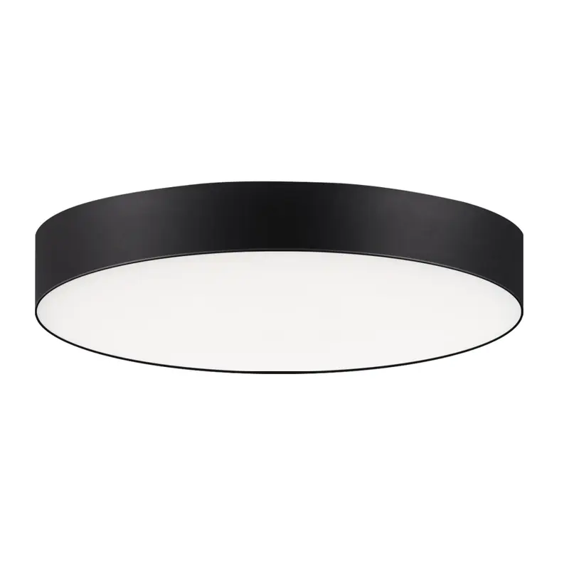 Trim LED Flush Mount Black