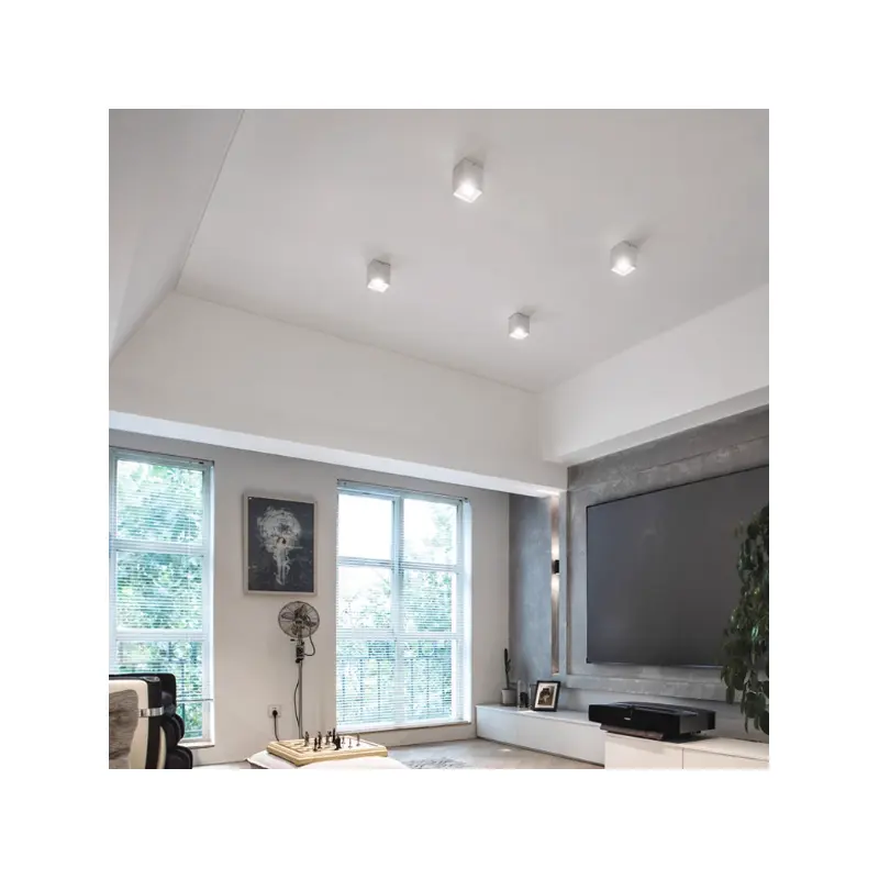 Surface Mounted LED Spotlight Flush Mount Ceiling Light - Minimalist Aluminum Downlight For Living Room